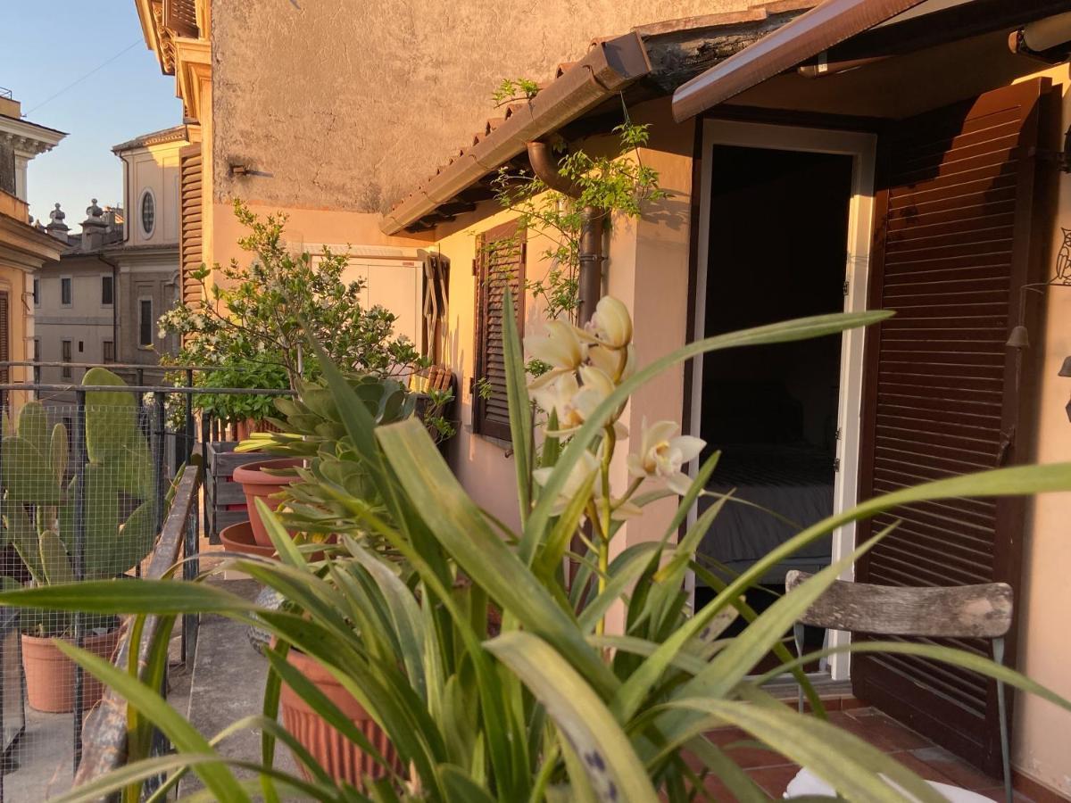 Roof Under The Skyfall 罗马 外观 照片